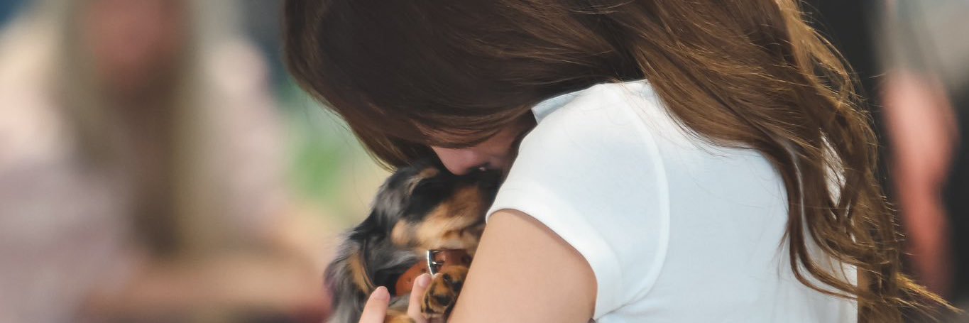 ㅍㅂ's banner