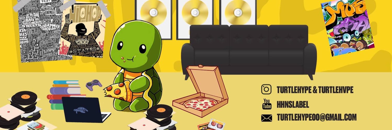 TurtleHype's banner