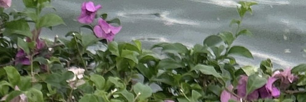 อะตวม's banner
