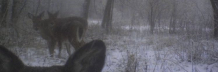 ナナ༉‧₊˚✧'s banner