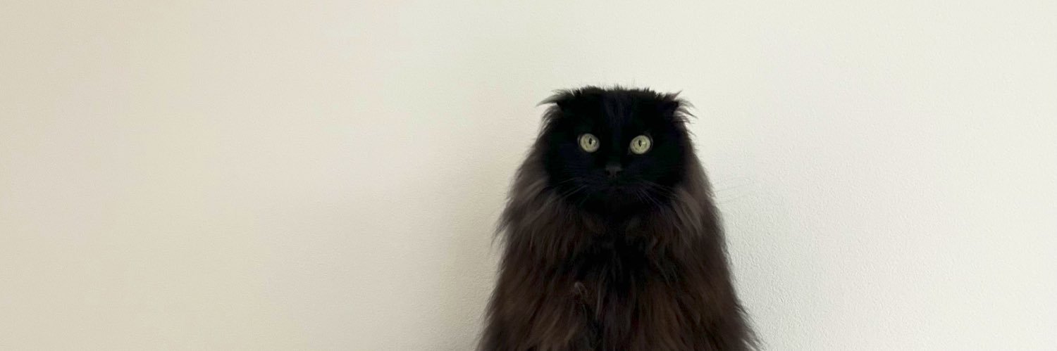 ねこさん/元保護猫フクロウ🦉's banner