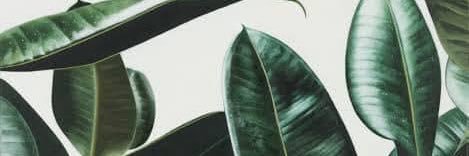 หมาเด็ก ^^'s banner