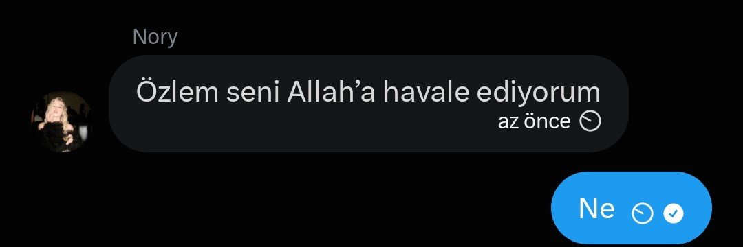 Özlem's banner