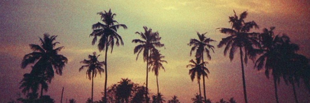 ︎yani ꕤ's banner