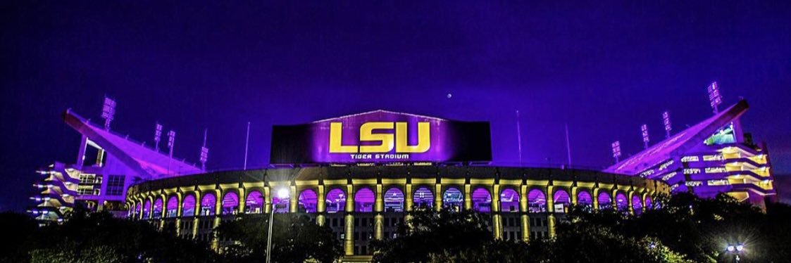 Lilah 💜💛🐅🧡🖤's banner
