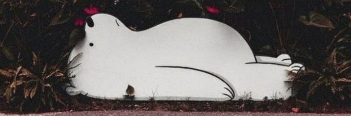Tanzeela Marwat 🍃's banner