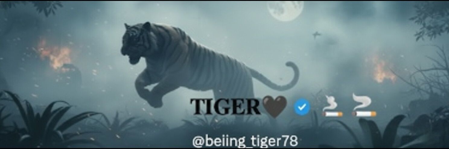 𝐓𝐈𝐆𝐄𝐑🖤's banner