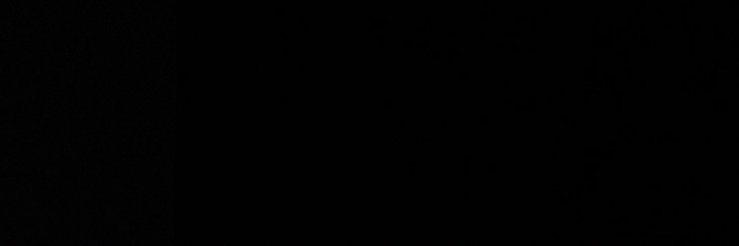 T 0 Y's banner