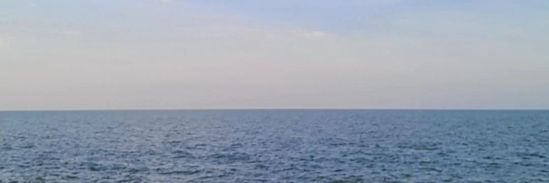 X_X's banner