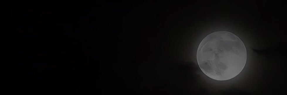 🛥️'s banner
