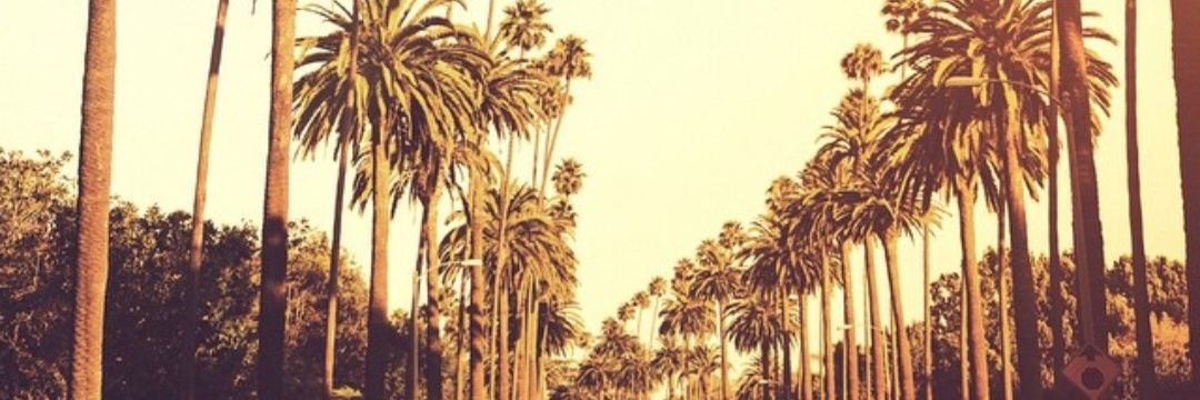 Tee 🏳️‍🌈's banner