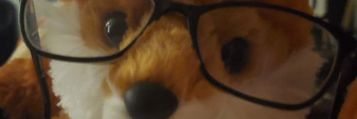 𝙂𝙊𝙊𝘿𝙕𝙓 シ's banner