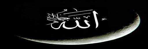فهیم افغان🇦🇫👊's banner