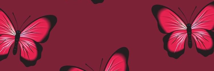 Valentina paz's banner