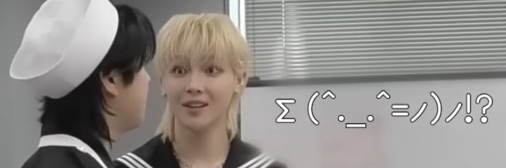 どうぶつ動画's banner