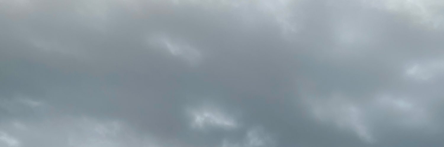 ずいかの's banner