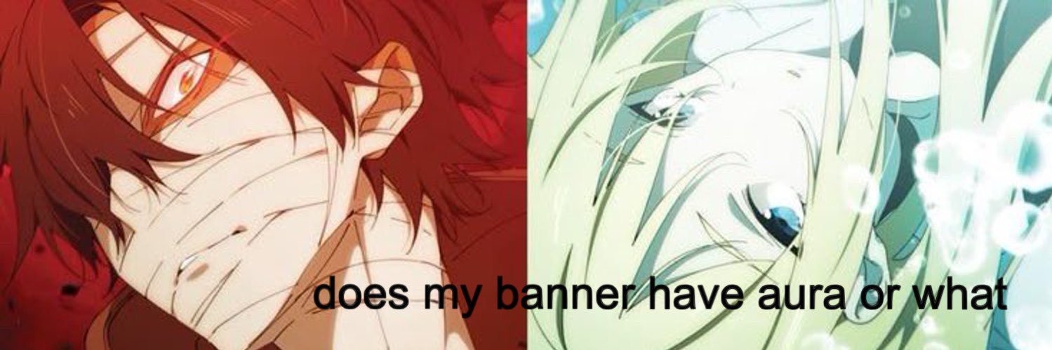 COLSE's banner