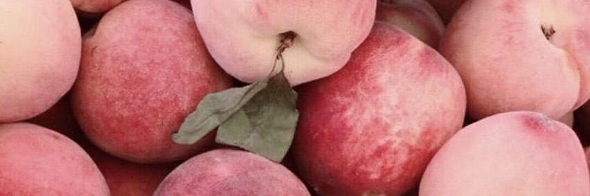 OLIVIA IVYS🍑's banner