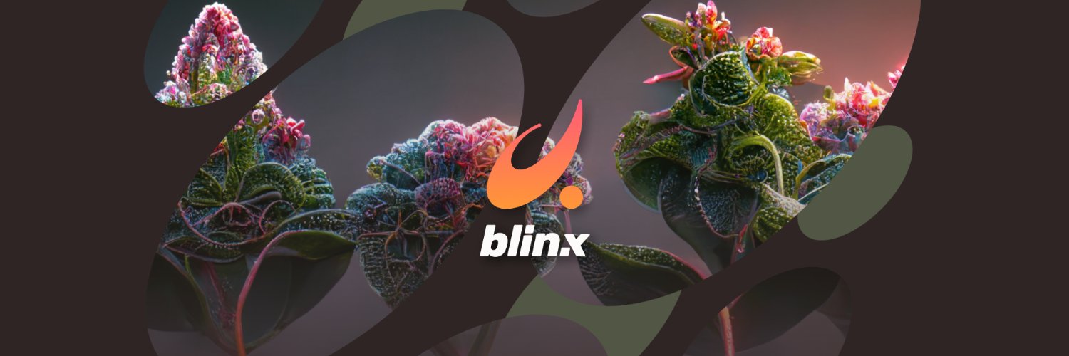 blinx's banner