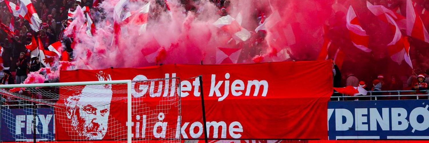 Brede Skahjem Tokvam's banner