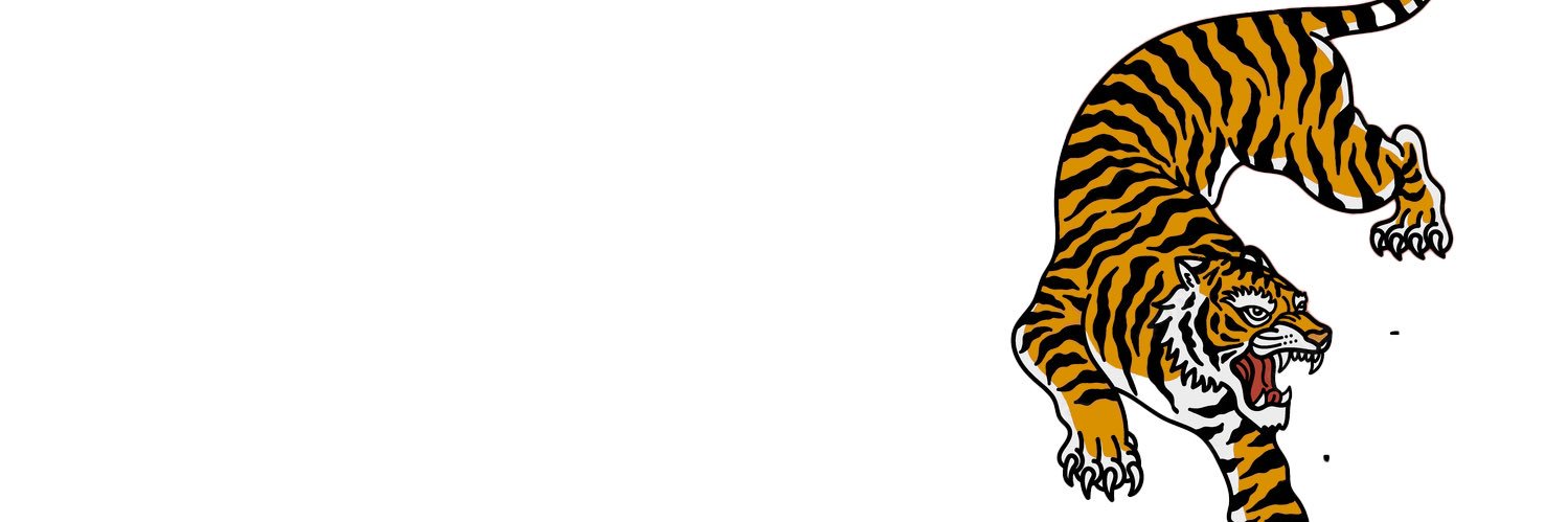 VOLLEYMED's banner