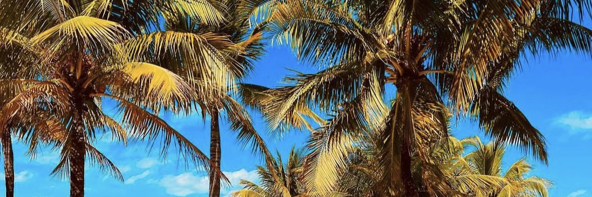 Mia Khalifa ⚜️'s banner