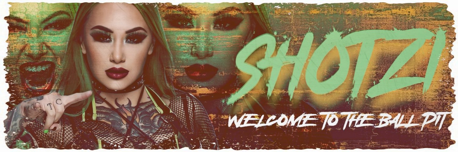 Shotzi's banner