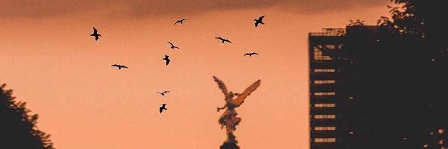 𝙍𝙪𝙩𝙝 𝘽𝙖𝙧𝙧𝙞𝙤𝙨 𝙁𝙪𝙚𝙣𝙩𝙚𝙨's banner