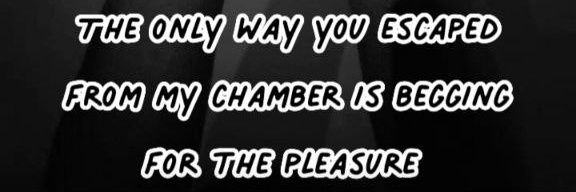Qiqi's banner