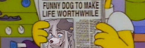 ✨TENI's banner