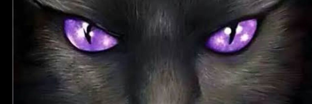 Humberta Mariam 🐱😈☿🖤🐈‍⬛🤍🤟ØĄ's banner