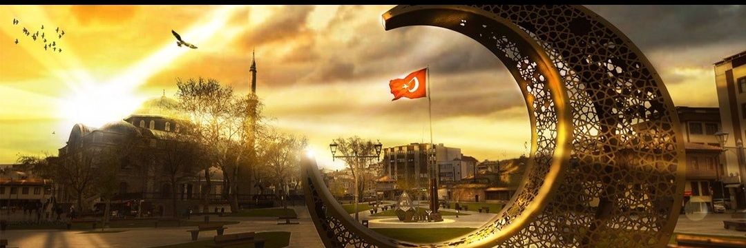 MİLLİ HESAP's banner