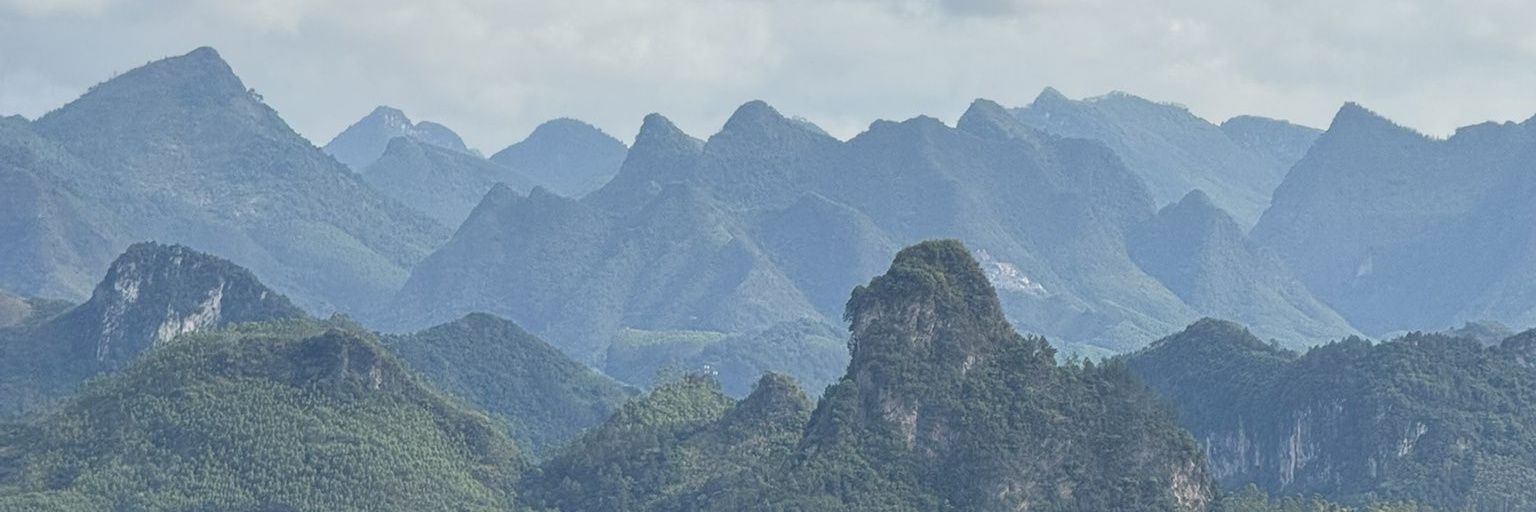 Lii李's banner