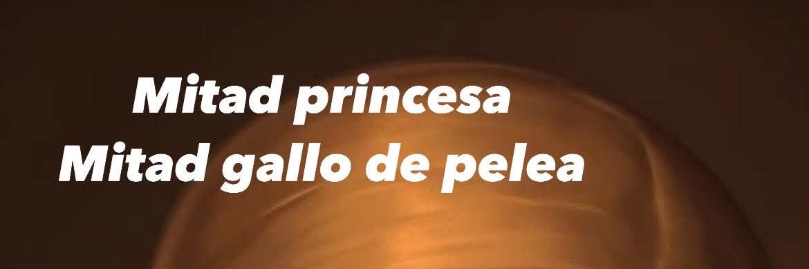 Brenliz Rodrz 👸🏻🖤's banner