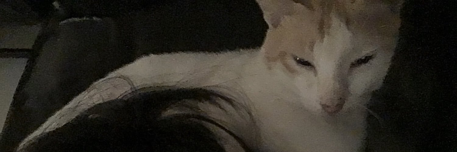 Jei Xi's banner
