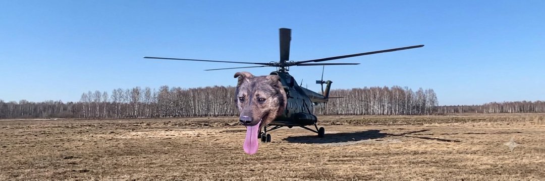helidog's banner