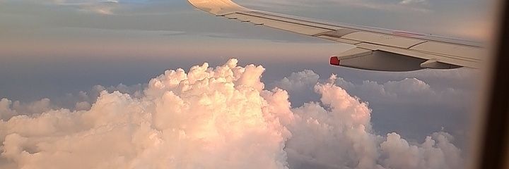えむえむくん's banner