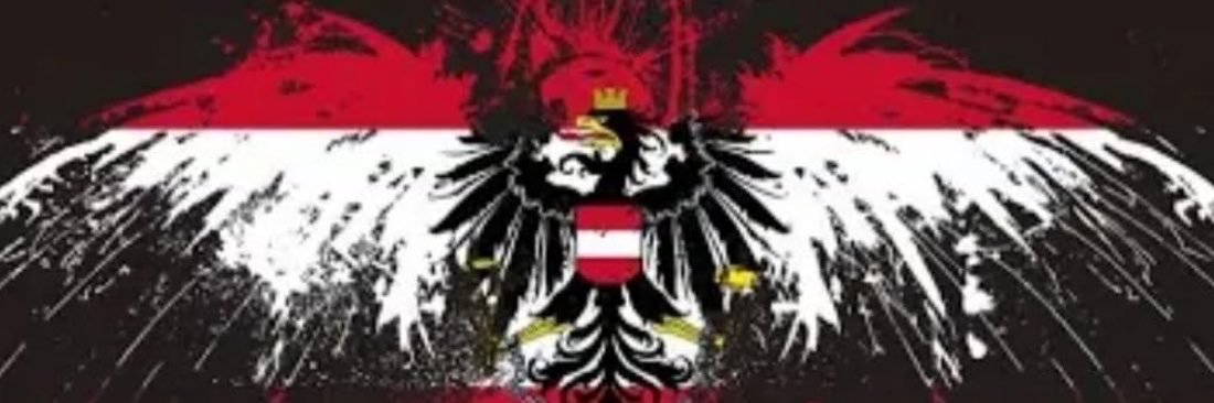 German Patriot 🦅 🇩🇪🥁🥁💙's banner