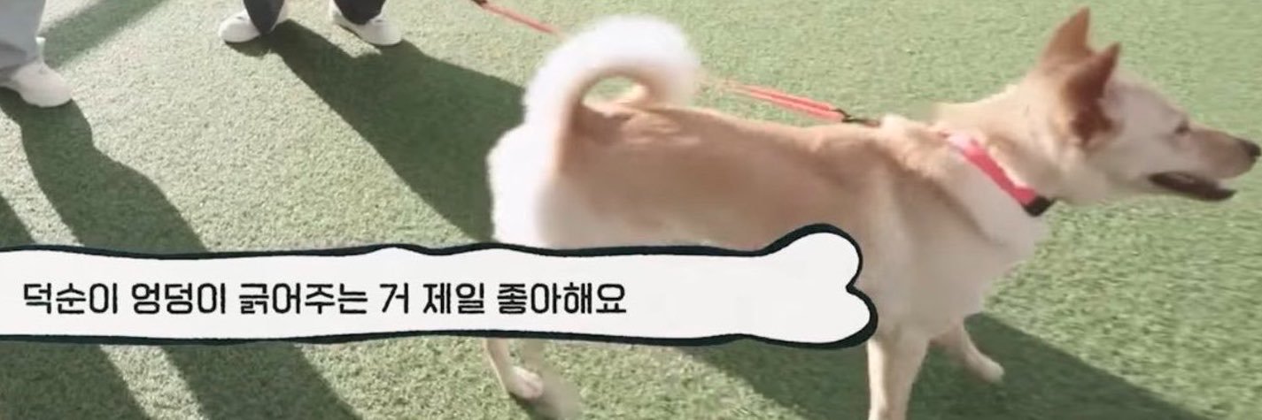 덕순's banner