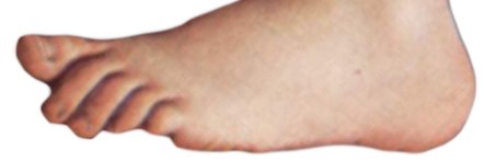 Cejjyboy's banner