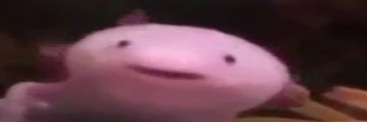 RokiLotl's banner