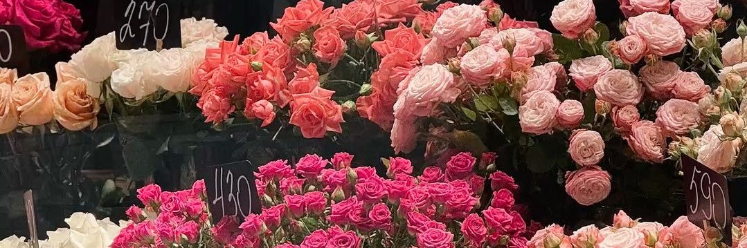Phương Linh 🍓's banner