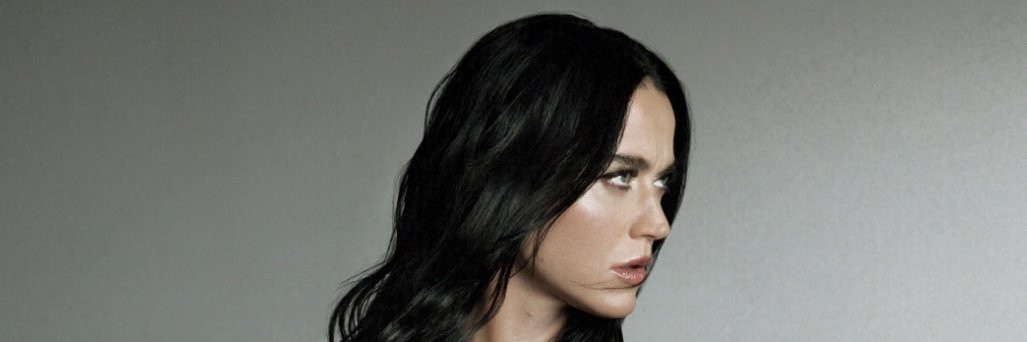 Witness | #KatyLeaveCapitol's banner