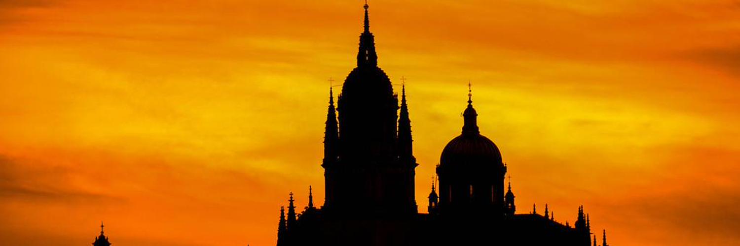 Javier 🌾's banner