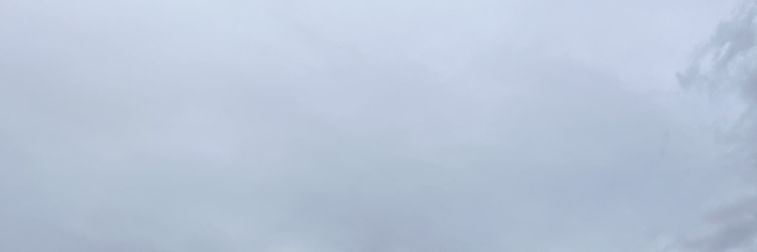 平头哥's banner
