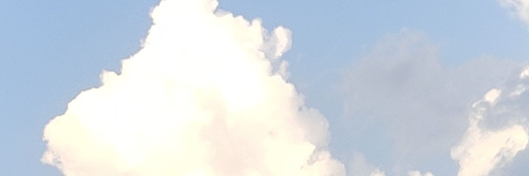软桃🍑's banner