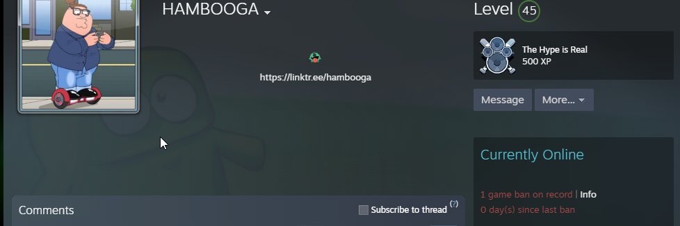 HAMBOOGA's banner