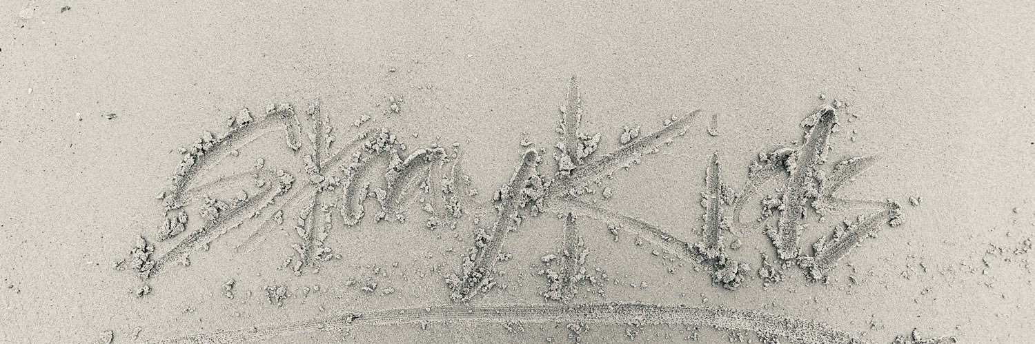 Concert’s Loverrr | 스테이 4EVER's banner
