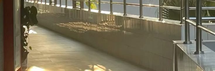 skitty's banner