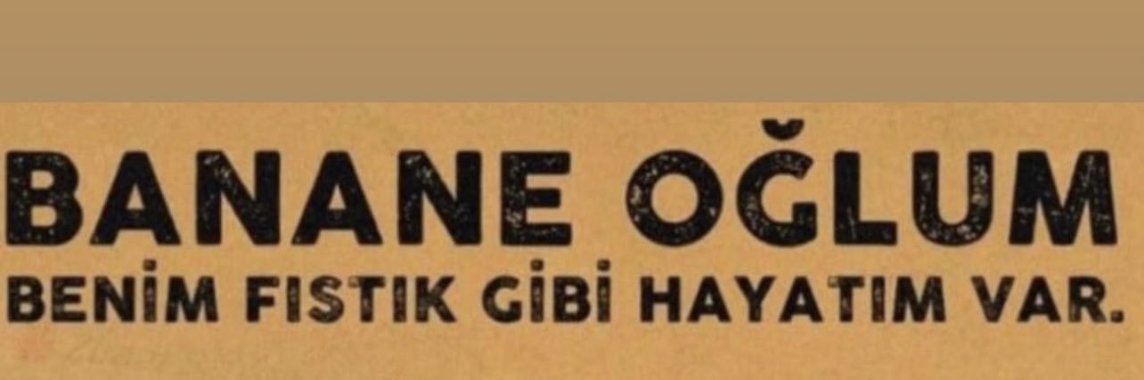 Özlem's banner